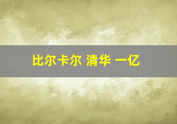 比尔卡尔 清华 一亿